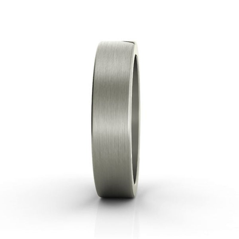 Clearance Camelot titanium wedding band ON CLEARANCE on a white background.